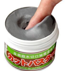 Sellador para bonsáis «Cut-Paste» grande 500 g