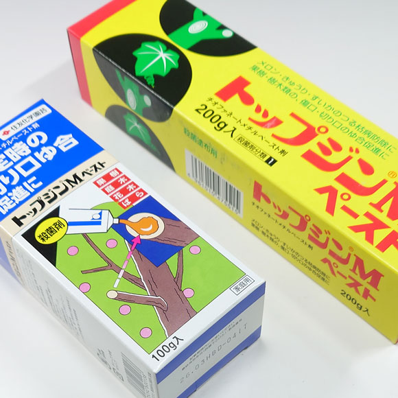 Sellador para bonsáis "Top Jin M patse" 100 g / 200 g